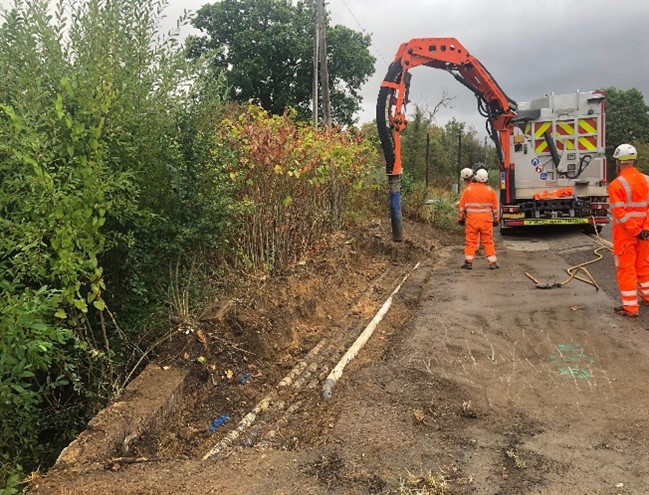 Picture1 1 | Japanese knotweed | JKSL