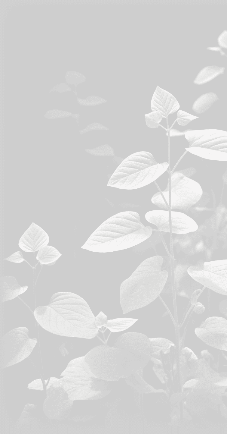 image 26 | Japanese knotweed | JKSL