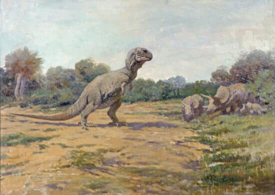 T. rex old posture | Japanese knotweed | JKSL