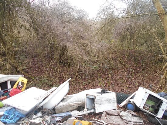 Fly tipping The Avenue Tatsfield | Japanese knotweed | JKSL
