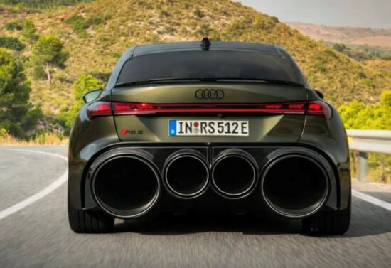 The sea of sameness | Japanese knotweed | JKSL