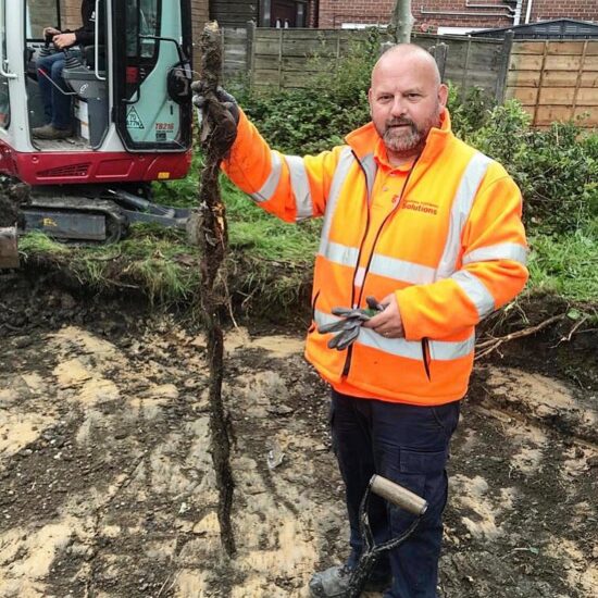 Rhizome ashton under lyne | Japanese knotweed | JKSL